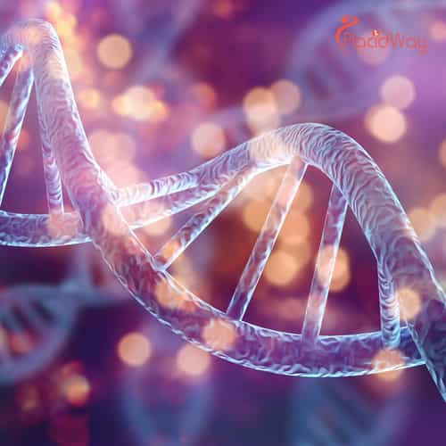 Unlocking Insights into Stem Cell Tourism: A Conversation with MexStemCell CEO Angel Zaragoza 